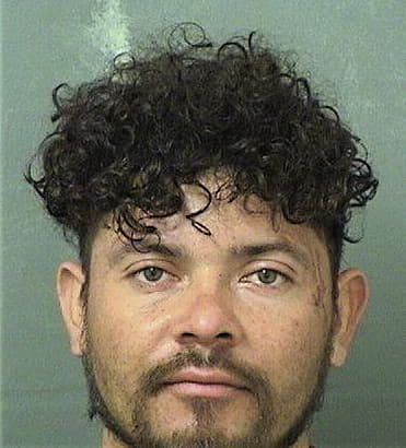 Hector Carcamobarahona, - Palm Beach County, FL 